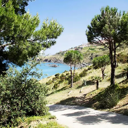 Colorful With Balcony Or Terrace 500m From The Sea Appartamento *