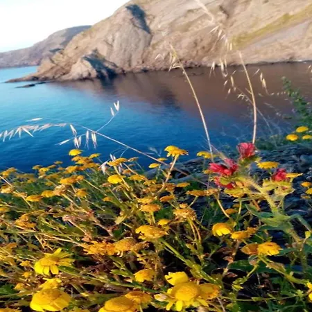 Colorful With Balcony Or Terrace 500m From The Sea * Cerbère